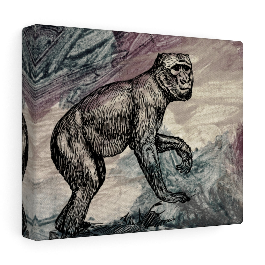 Lost Primate Canvas