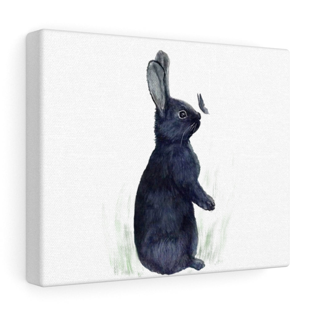 Black Rabbit Canvas