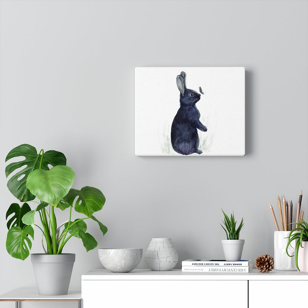 Black Rabbit Canvas