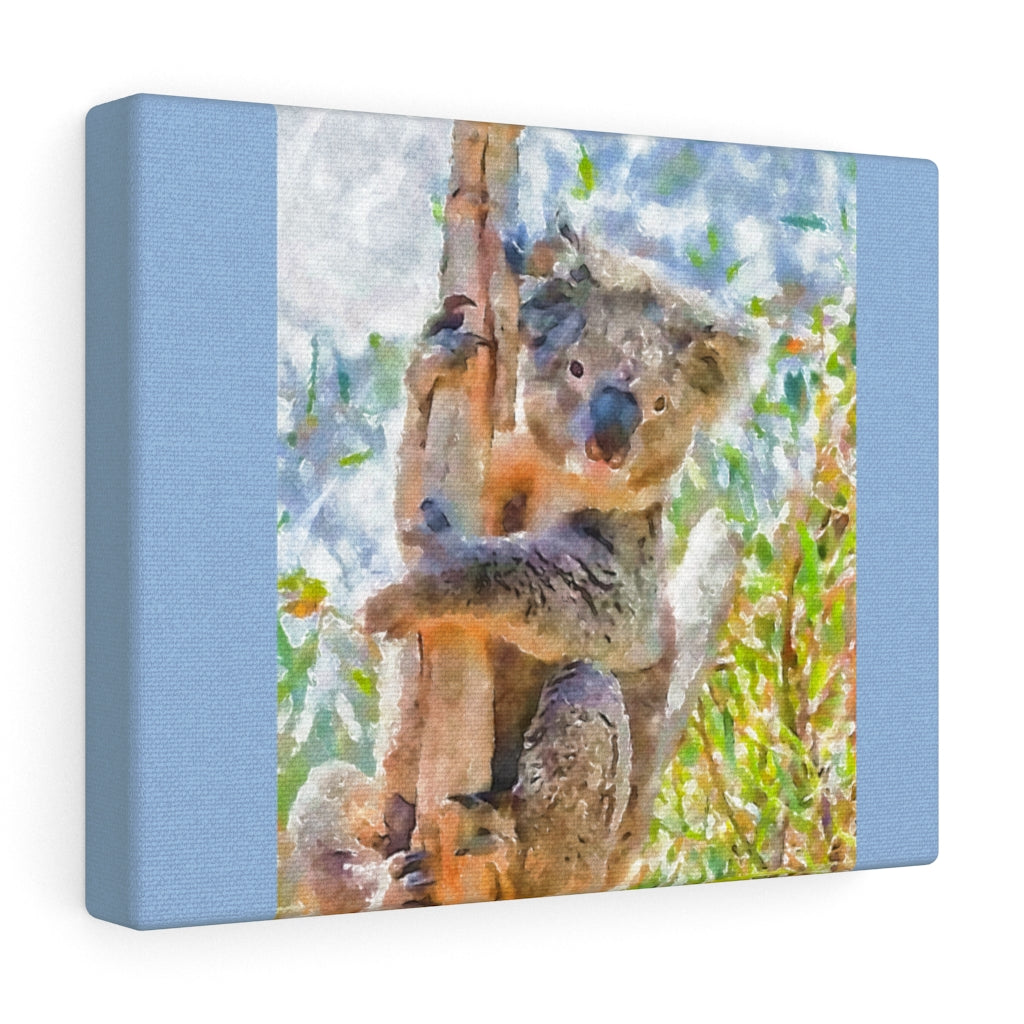 Grinning Koala Canvas